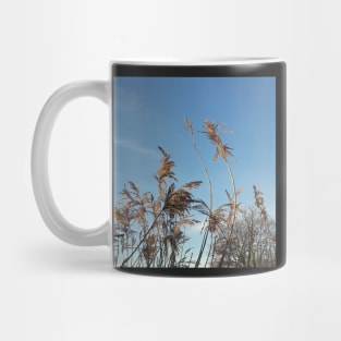 cane in wintertime Mug